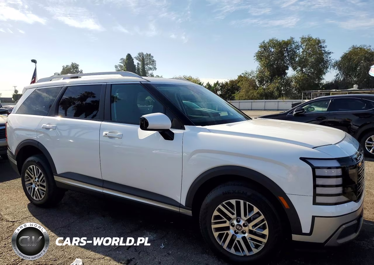 2026 Hyundai Palisade Calligraphy VIN:KM8RMES23TU043487 - 4