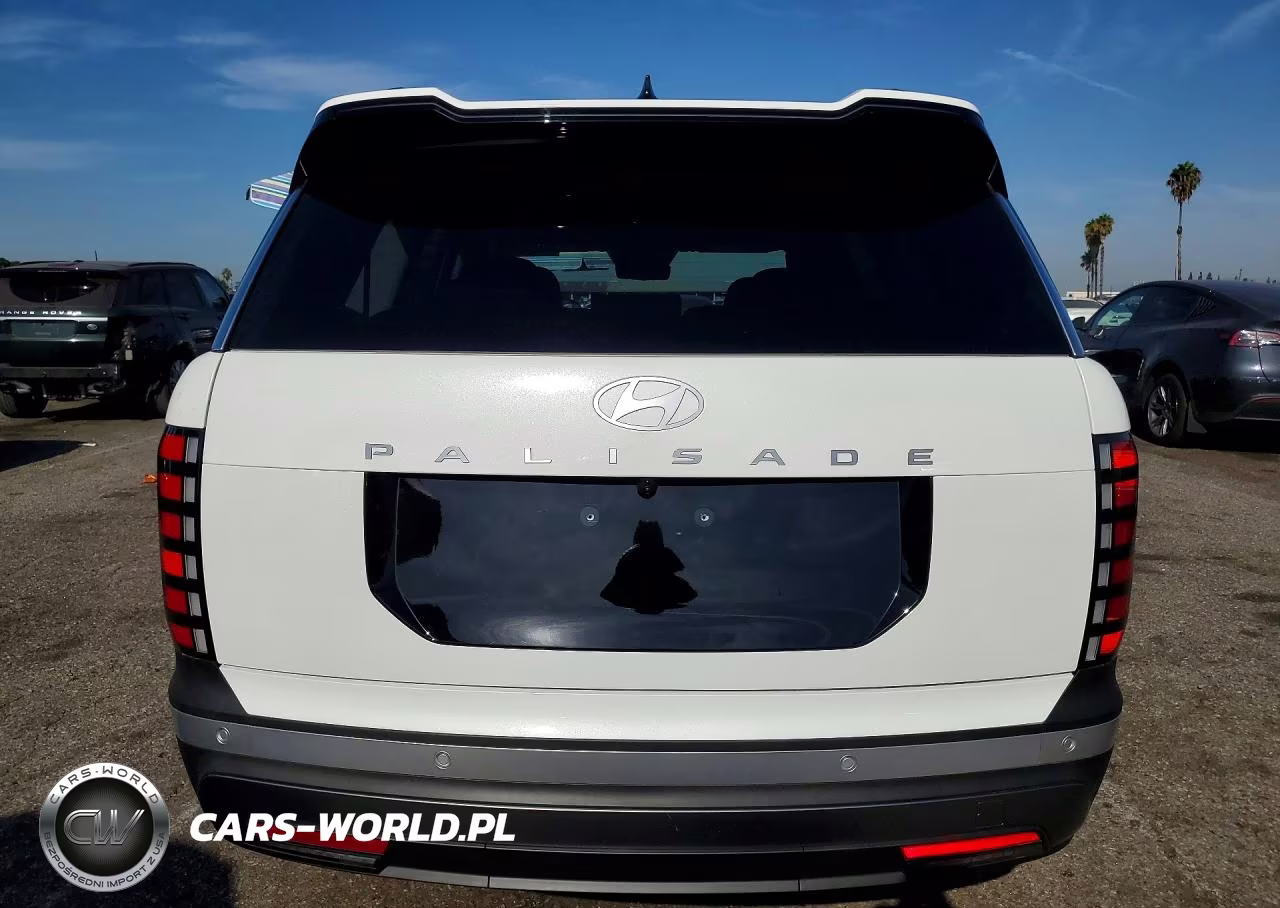 2026 Hyundai Palisade Calligraphy VIN:KM8RMES23TU043487 - 6