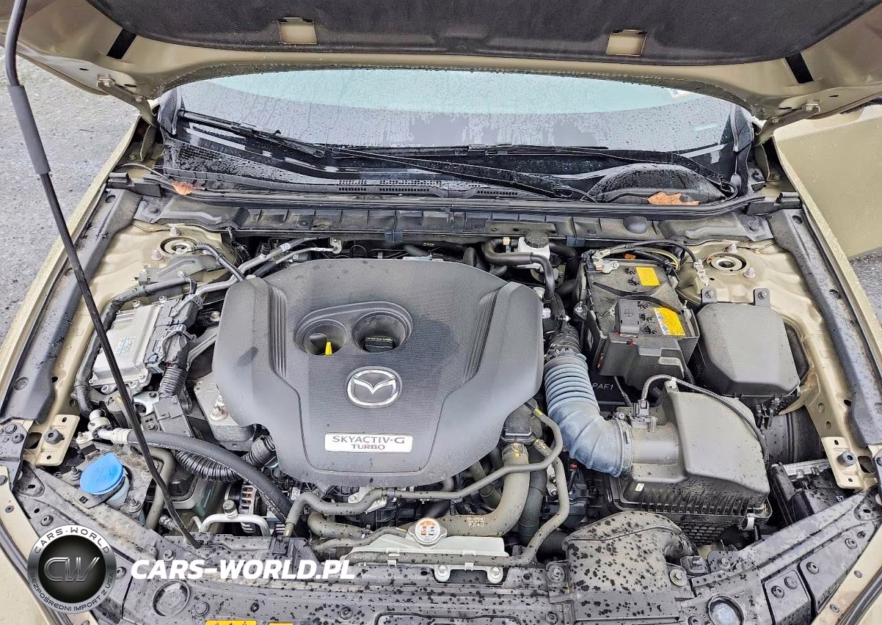 2025 Mazda 3 Carbon Turbo VIN:JM1BPBXY7S1782757 - 11