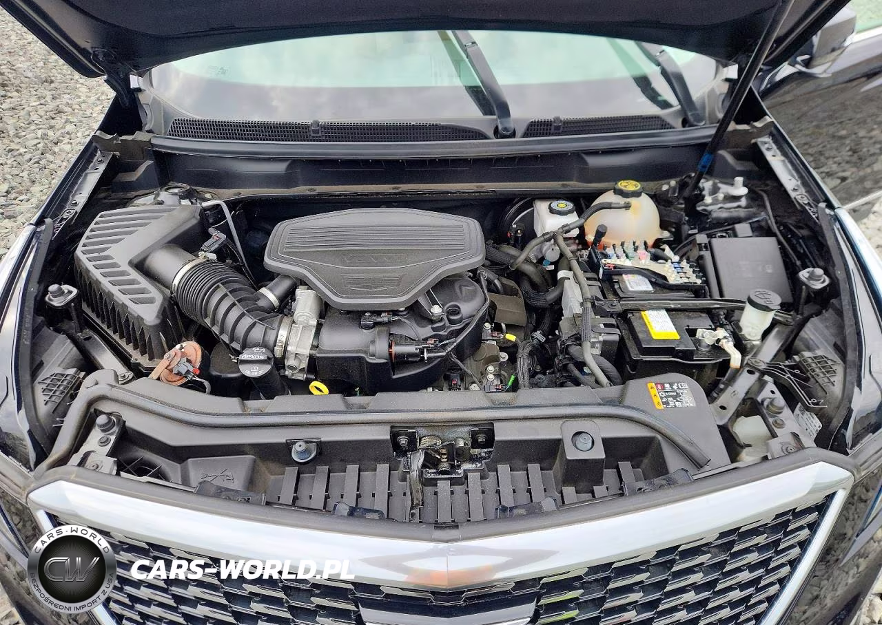 2022 Cadillac Xt5 Premium Luxury VIN:1GYKNDRS5NZ176058 - 12