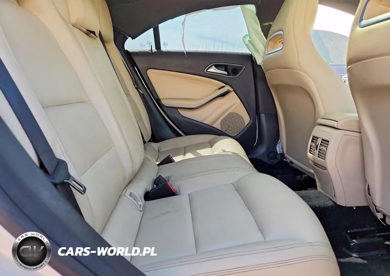 2014 Mercedes-Benz Cla 250 VIN:WDDSJ4EB6EN158110 - 10