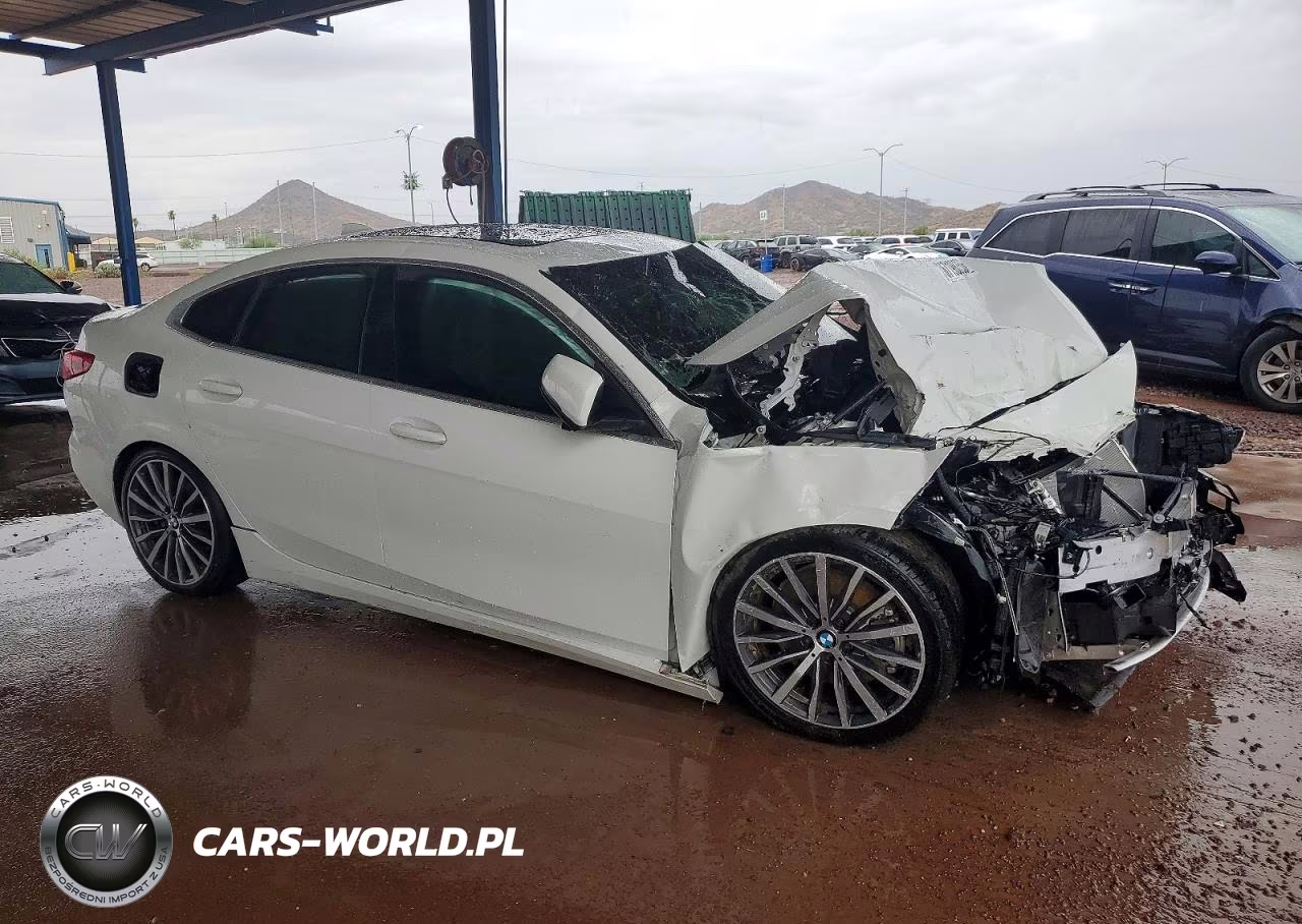 2022 BMW 228I VIN:WBA53AK06N7K56901 - 4