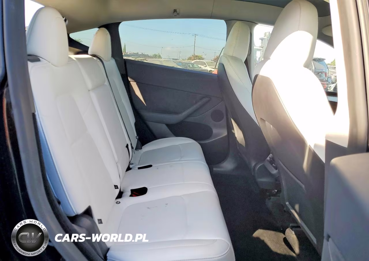 2025 Tesla Model Y VIN:7SAYGDEF3SF254781 - 10
