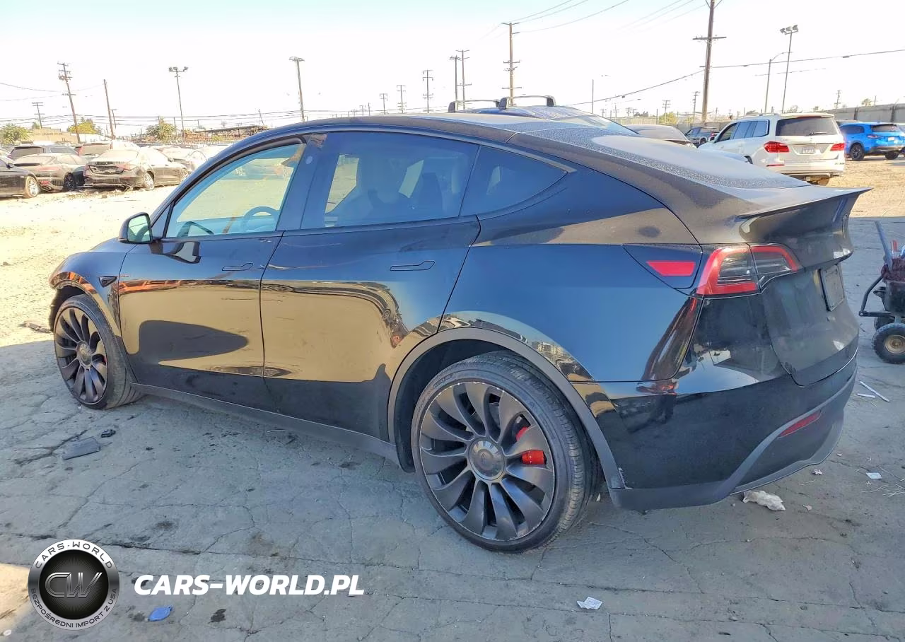 2025 Tesla Model Y VIN:7SAYGDEF3SF254781 - 2