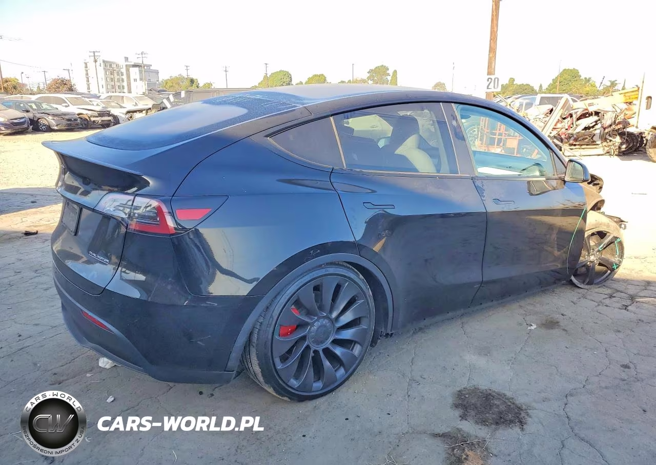 2025 Tesla Model Y VIN:7SAYGDEF3SF254781 - 3