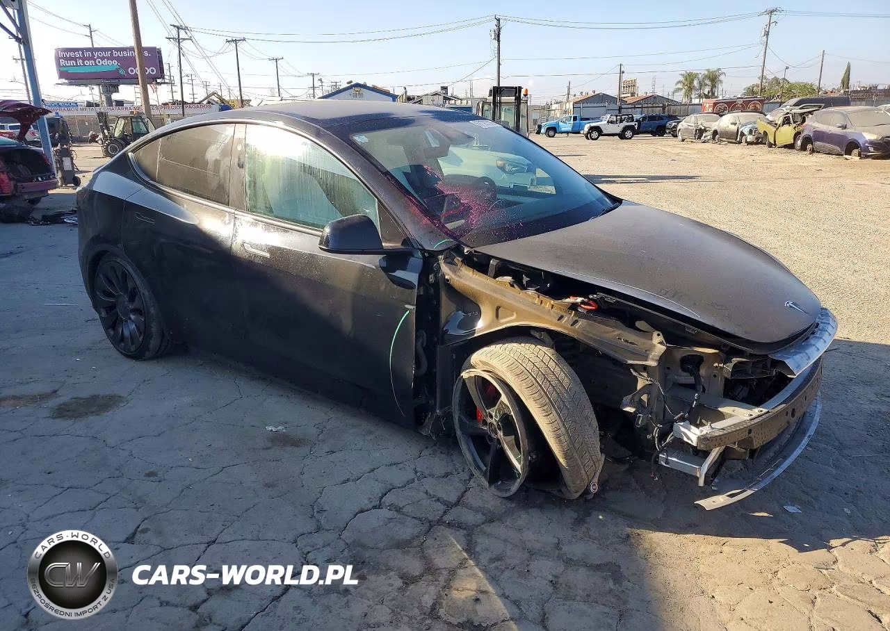 2025 Tesla Model Y VIN:7SAYGDEF3SF254781 - 4