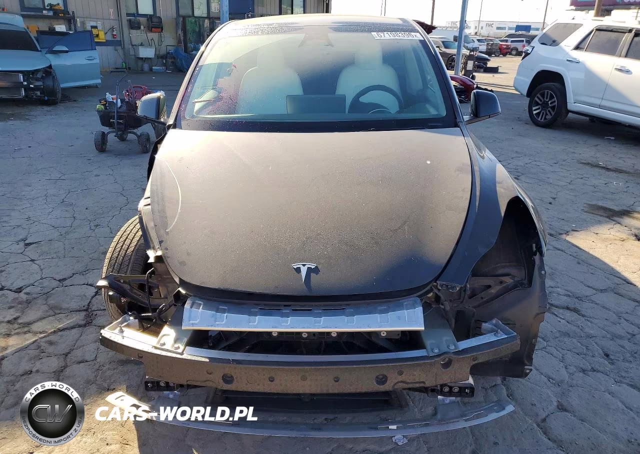 2025 Tesla Model Y VIN:7SAYGDEF3SF254781 - 5