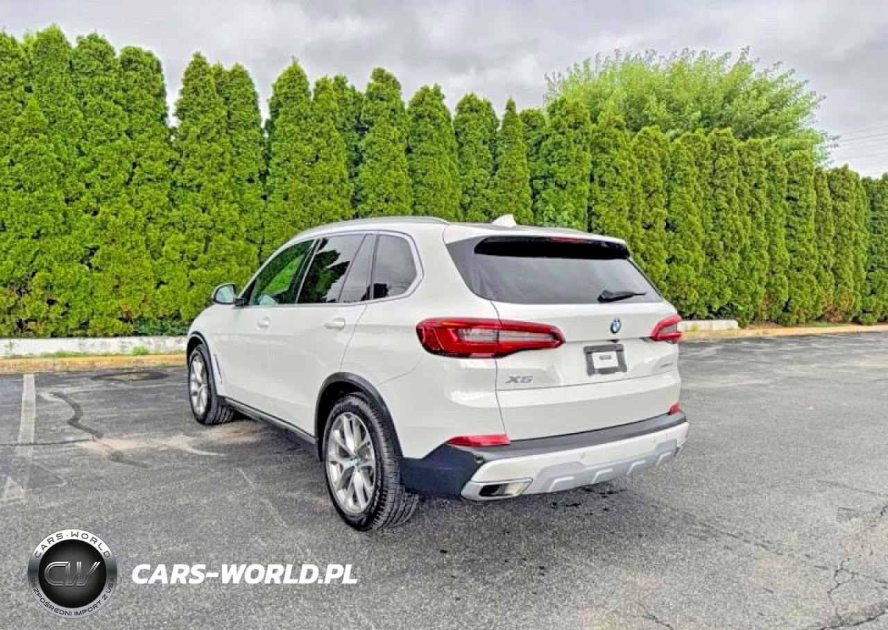 2019 BMW X5 xDrive40I VIN:5UXCR6C55KLL61916 - 3