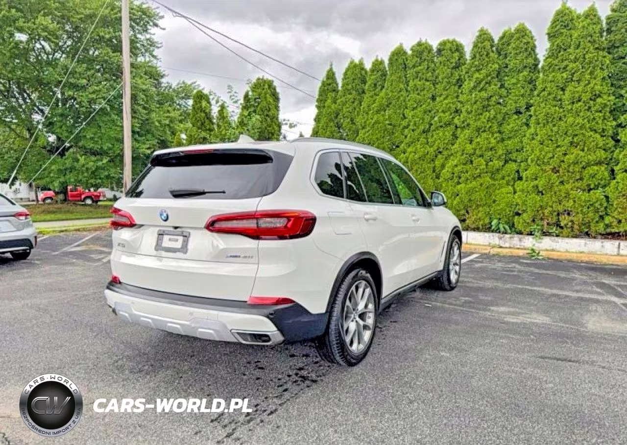 2019 BMW X5 xDrive40I VIN:5UXCR6C55KLL61916 - 4