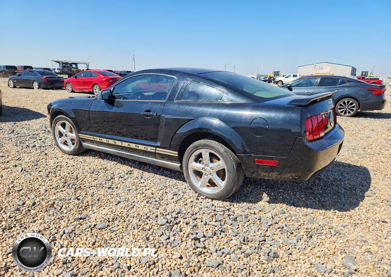 2005 Ford Mustang VIN:1ZVFT80N655112899 - 2