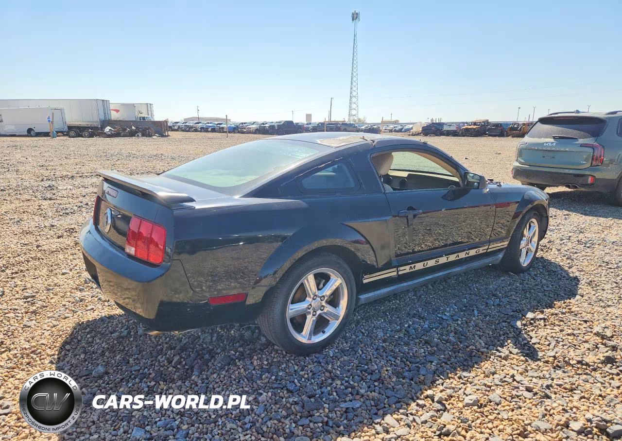 2005 Ford Mustang VIN:1ZVFT80N655112899 - 3
