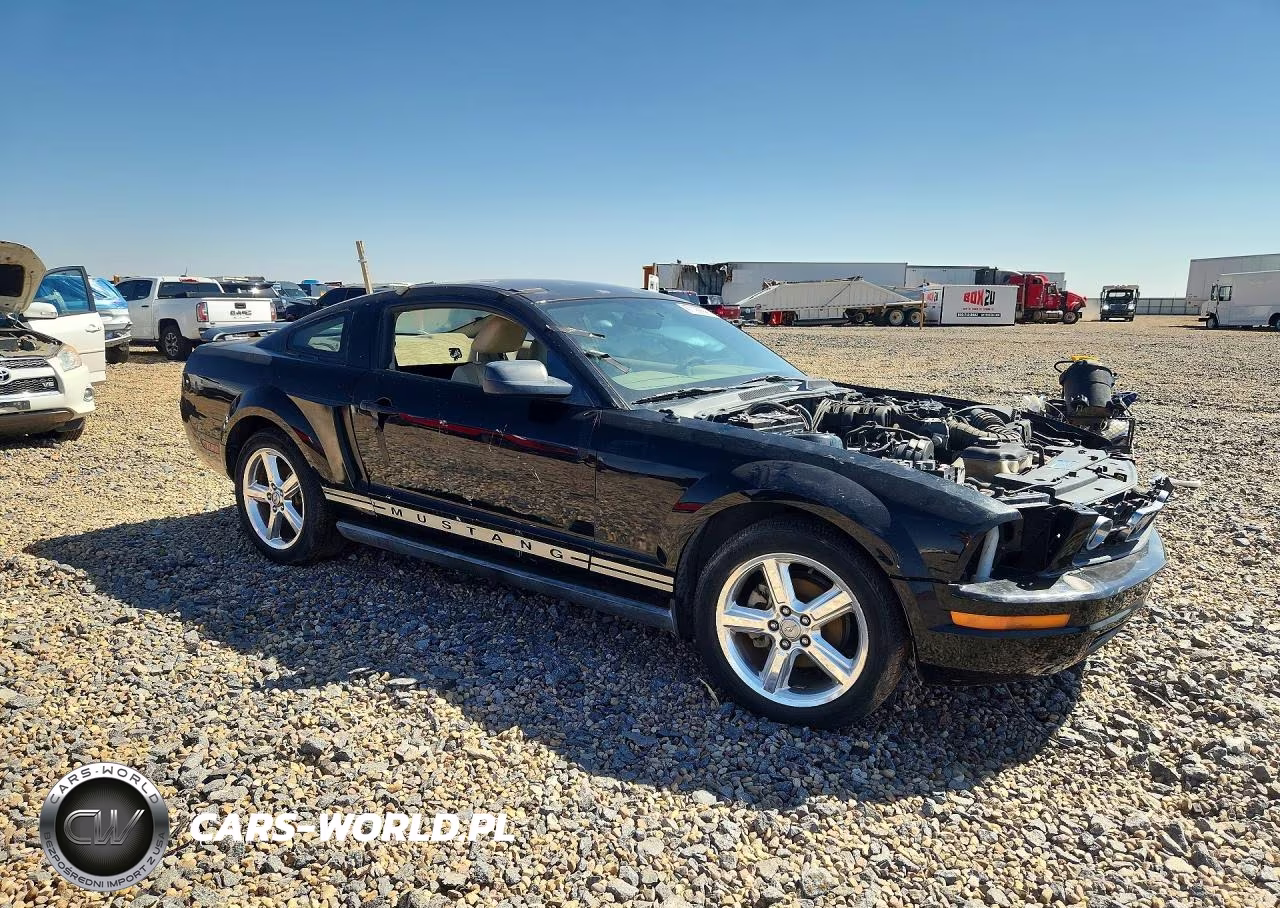 2005 Ford Mustang VIN:1ZVFT80N655112899 - 4