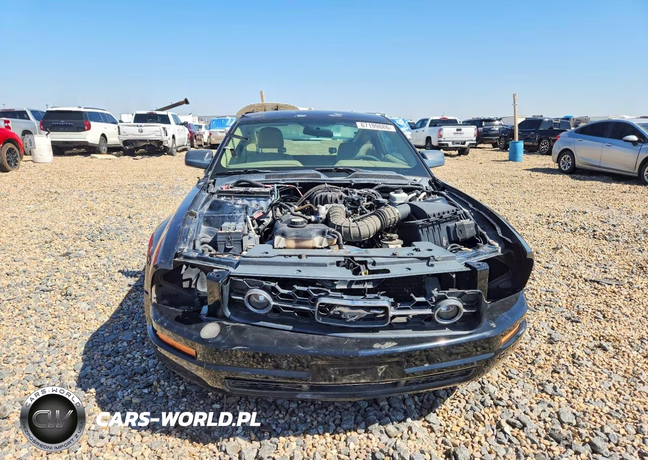 2005 Ford Mustang VIN:1ZVFT80N655112899 - 5
