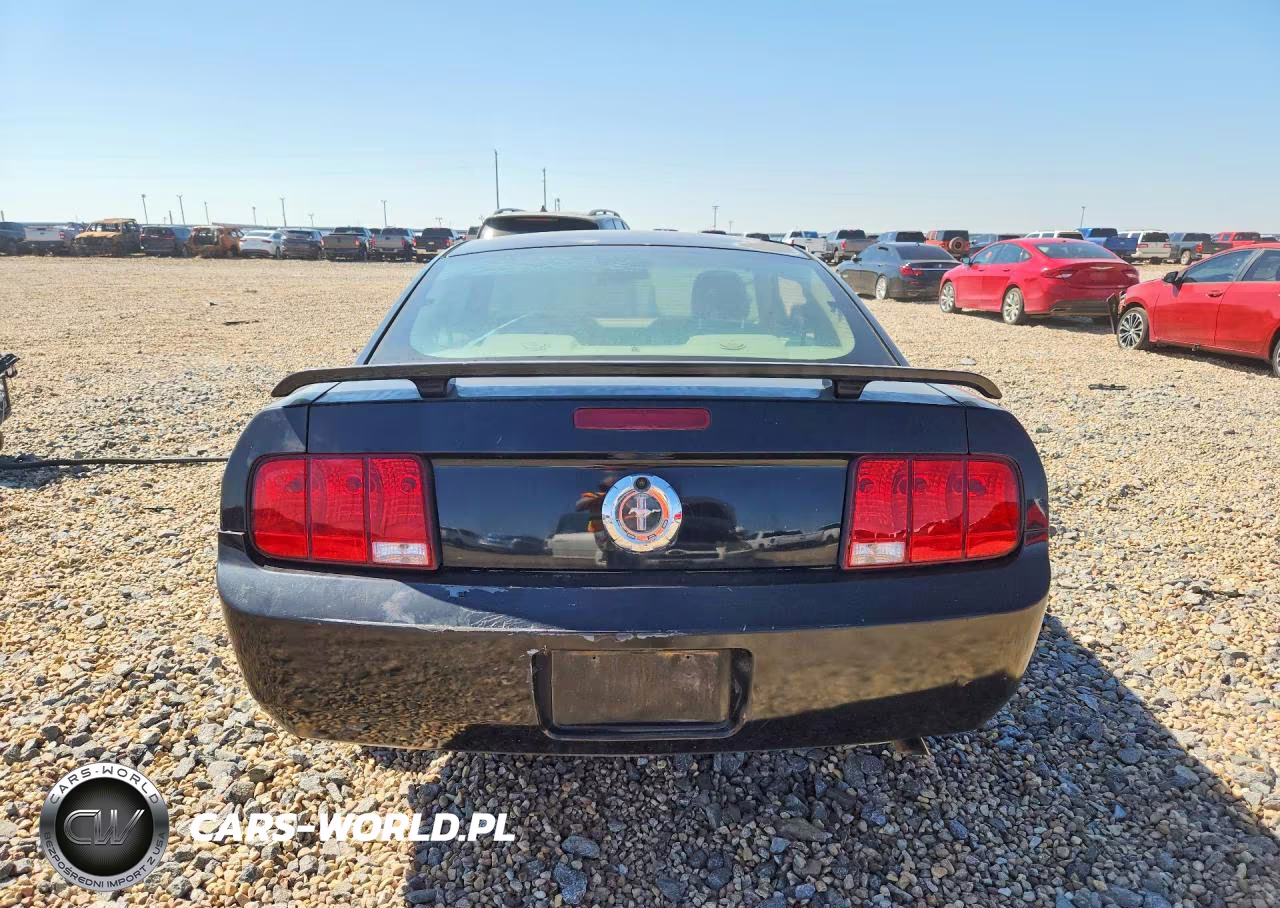 2005 Ford Mustang VIN:1ZVFT80N655112899 - 6