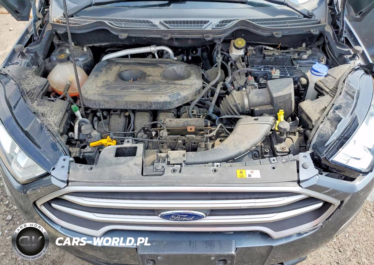 2020 Ford Ecosport Se VIN:MAJ6S3GL7LC330460 - 12