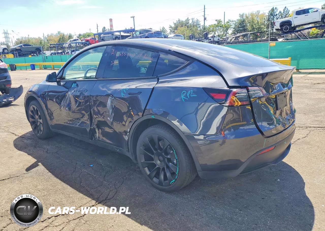 2024 Tesla Model Y VIN:7SAYGDEE0RA224782 - 2