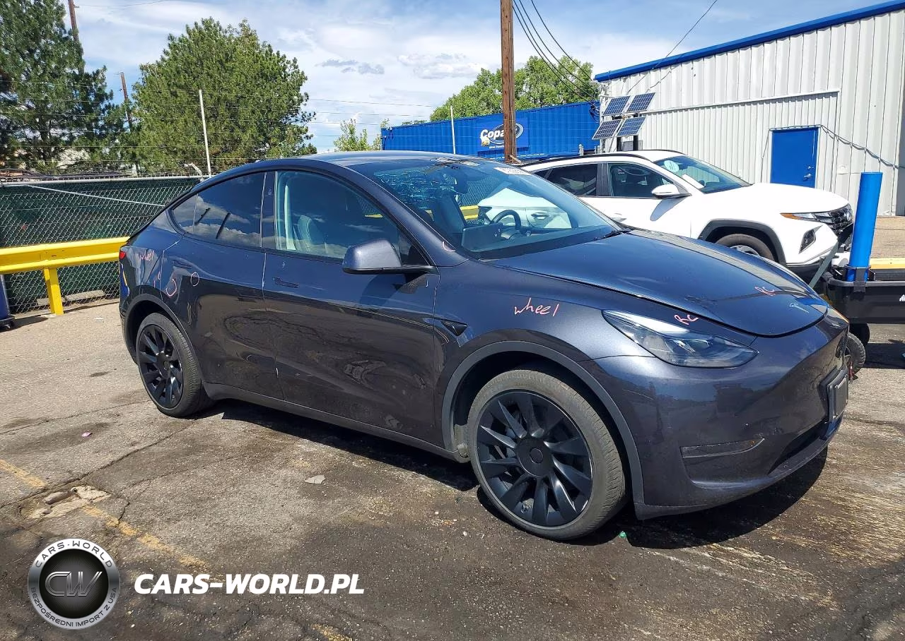 2024 Tesla Model Y VIN:7SAYGDEE0RA224782 - 4