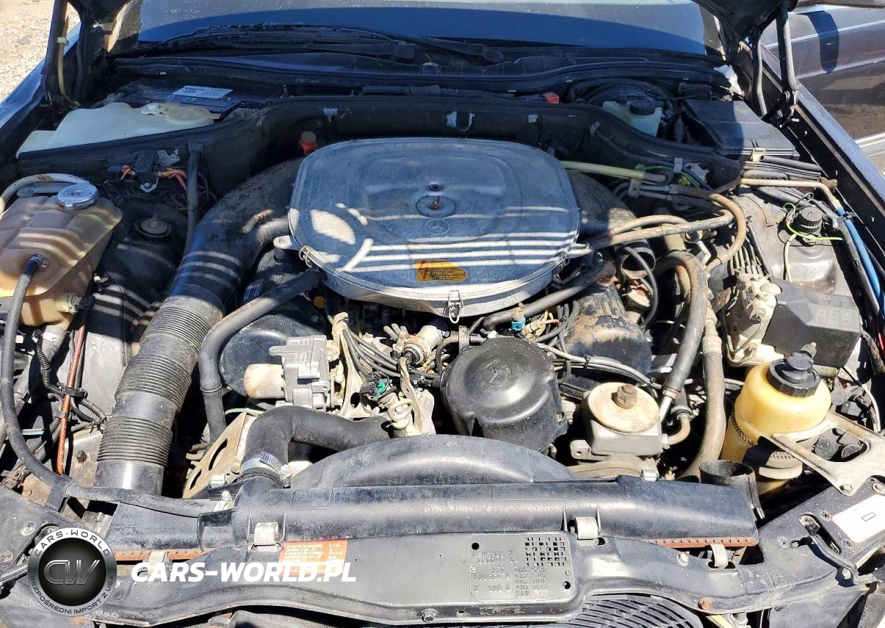 1986 Mercedes-Benz 560 Sec VIN:WDBCA45DXGA224425 - 11