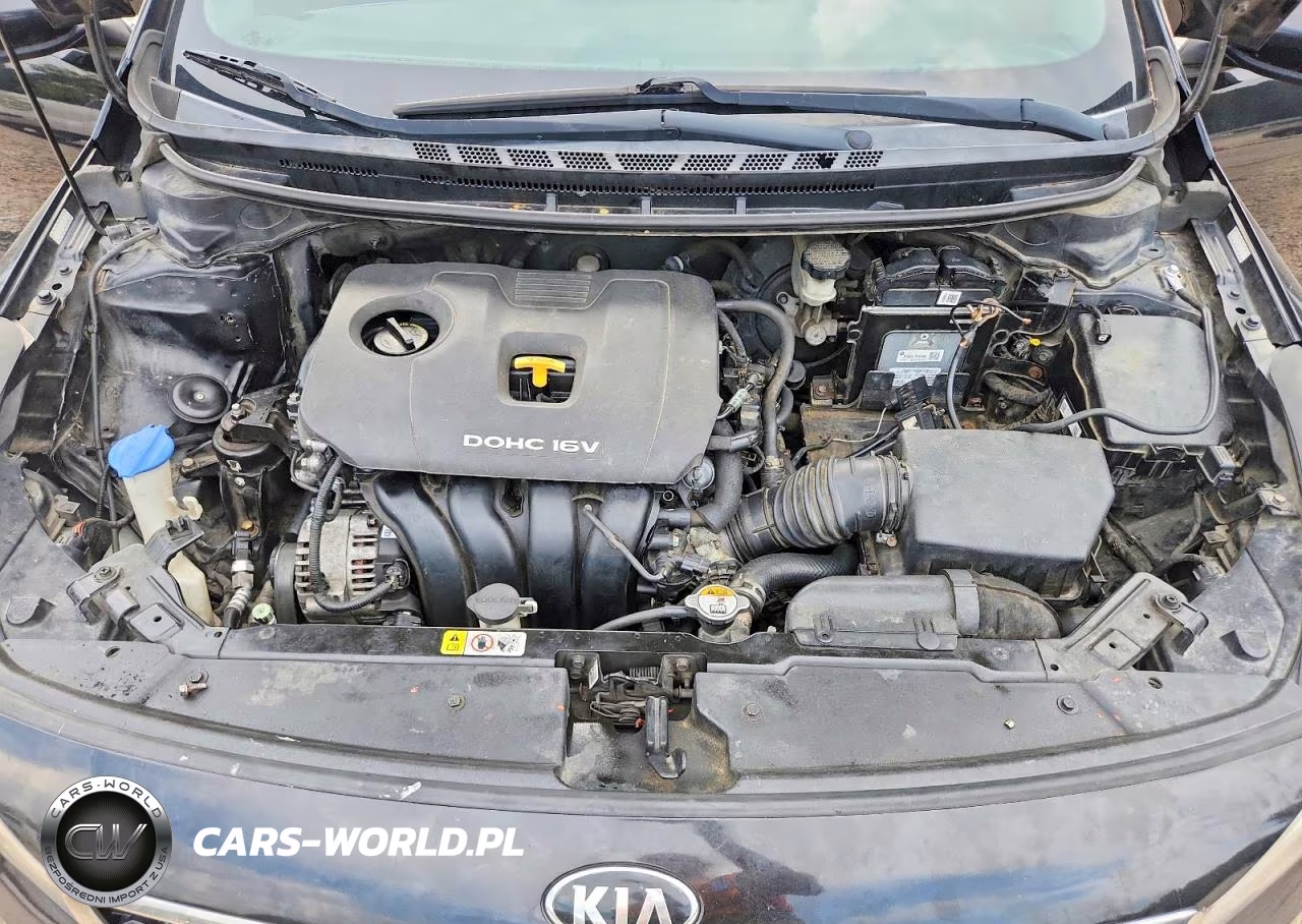 2017 Kia Forte Lx VIN:3KPFK4A78HE016652 - 11