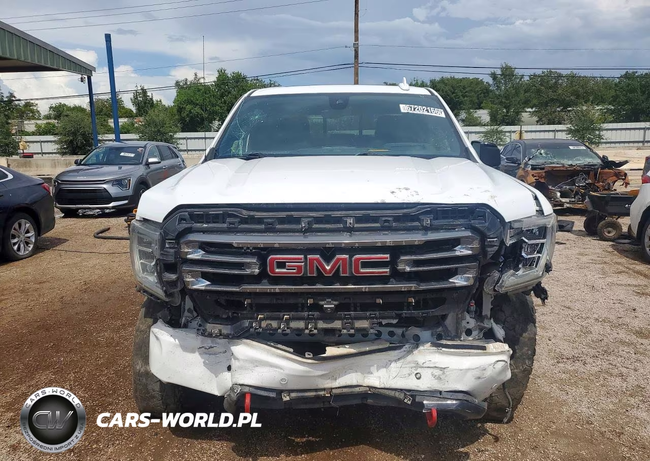 2019 GMC Sierra K1500 At4 VIN:1GTP9EEL8KZ203804 - 5