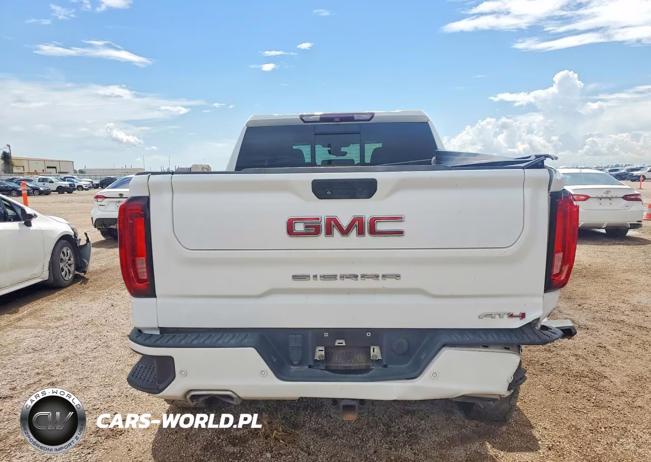 2019 GMC Sierra K1500 At4 VIN:1GTP9EEL8KZ203804 - 6