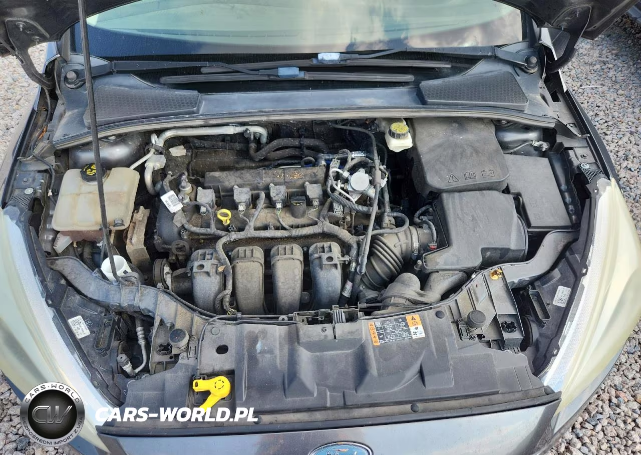 2017 Ford Focus Se VIN:1FADP3F21HL256395 - 11