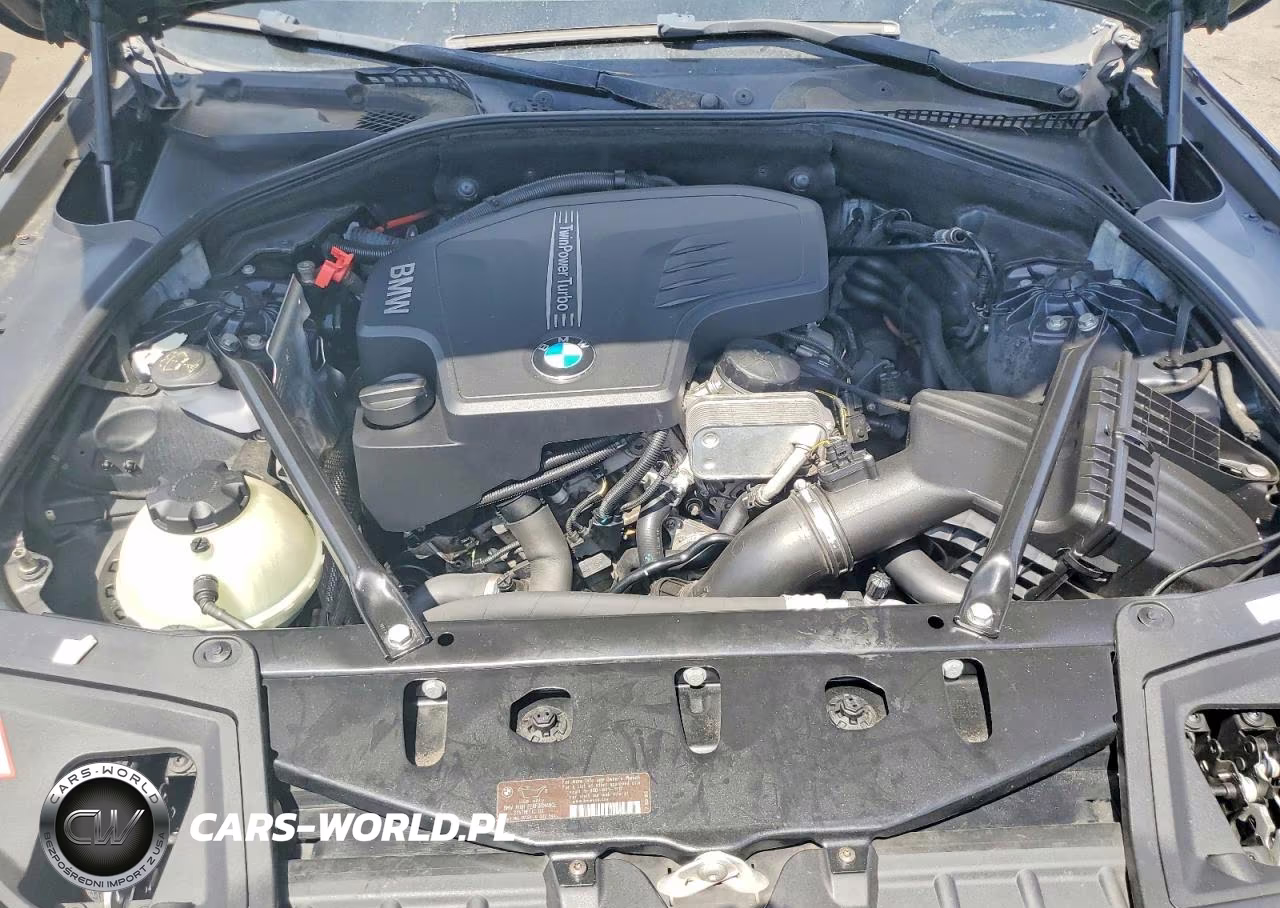 2013 BMW 528 I VIN:WBAXG5C51DD228664 - 11