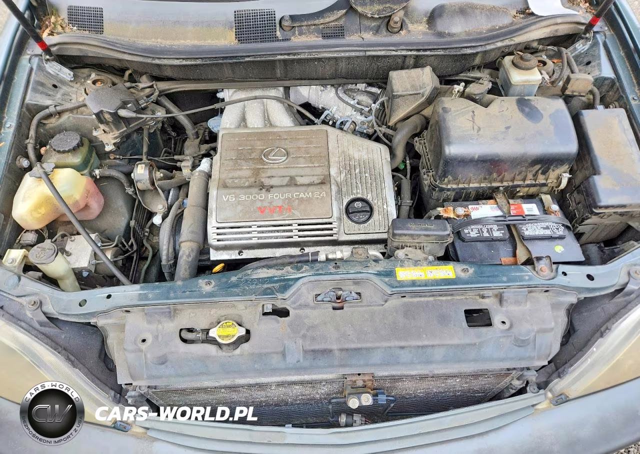 2000 Lexus Rx 300 VIN:JT6HF10U4Y0143014 - 12