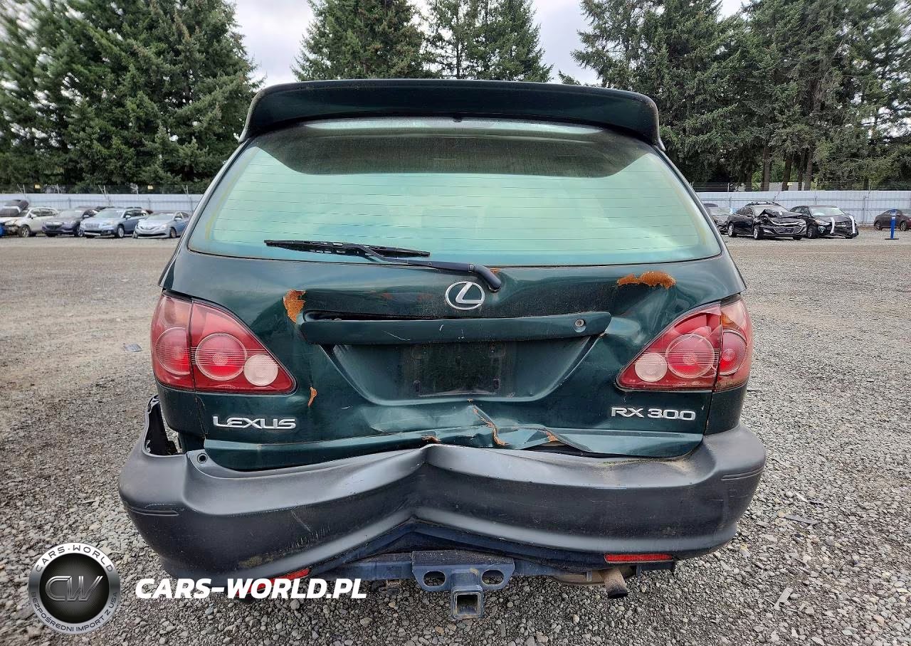 2000 Lexus Rx 300 VIN:JT6HF10U4Y0143014 - 6