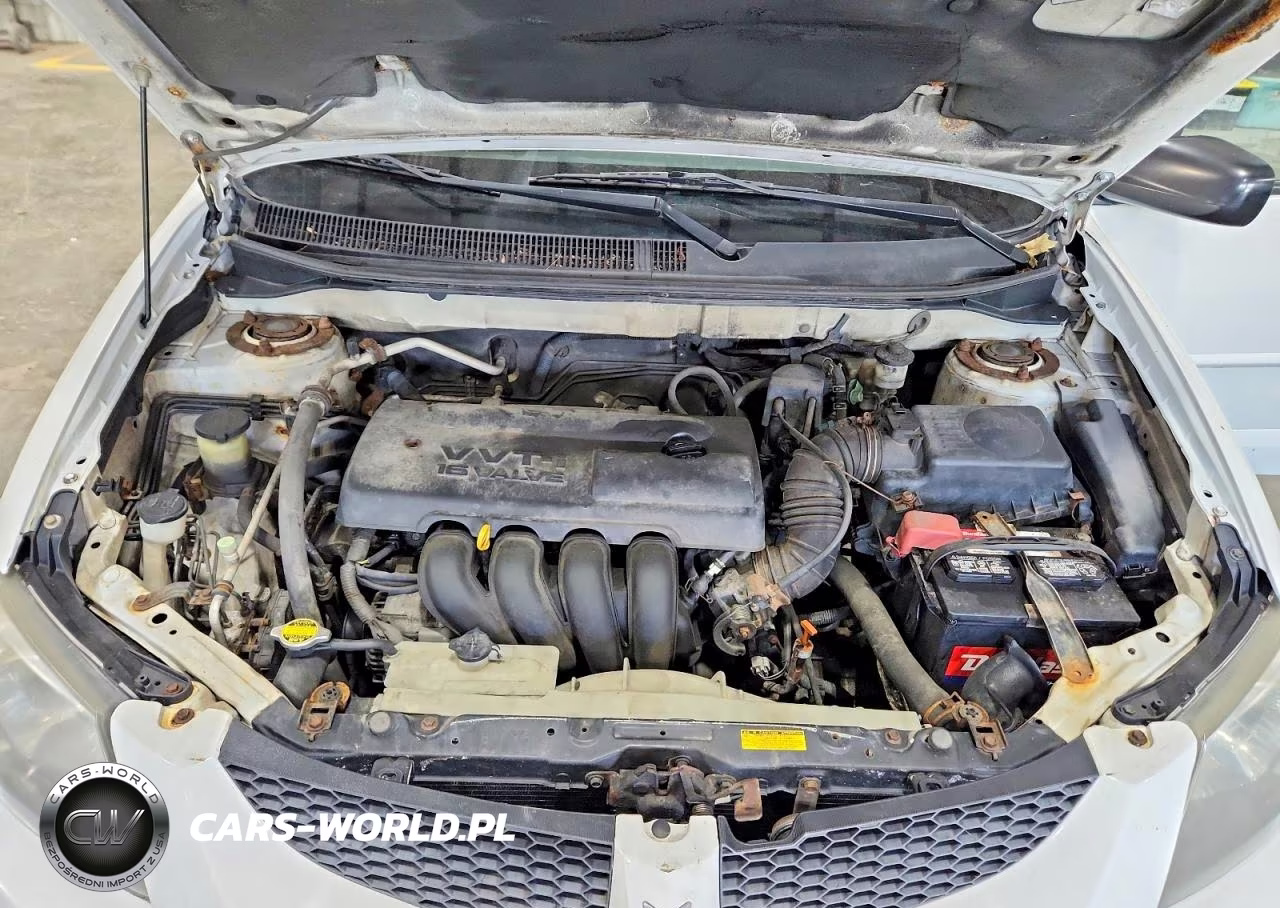 2004 Pontiac Vibe VIN:5Y2SM62884Z433604 - 11