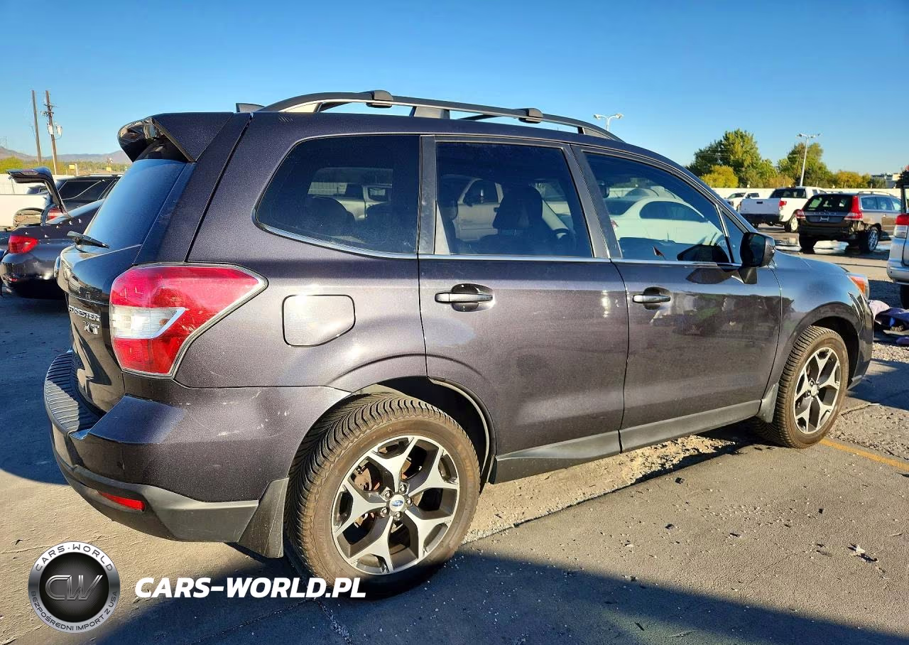 2016 Subaru Forester 2.0Xt Premium VIN:JF2SJGDC9GH501596 - 3