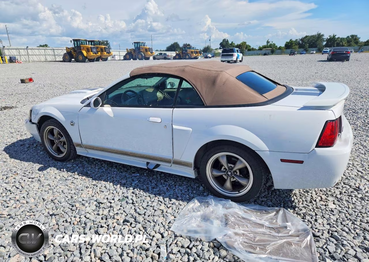 2004 Ford Mustang Gt VIN:1FAFP45X44F119049 - 2