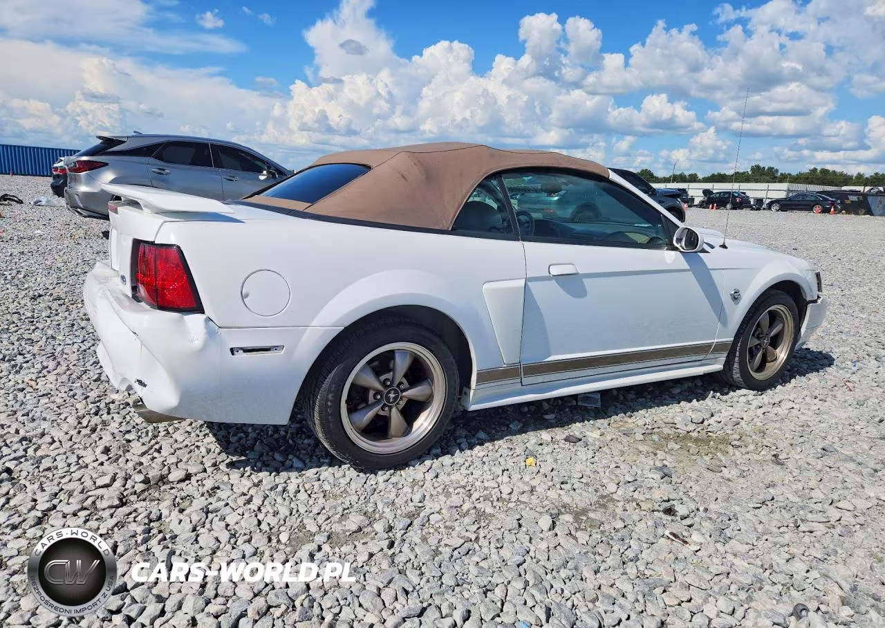 2004 Ford Mustang Gt VIN:1FAFP45X44F119049 - 3