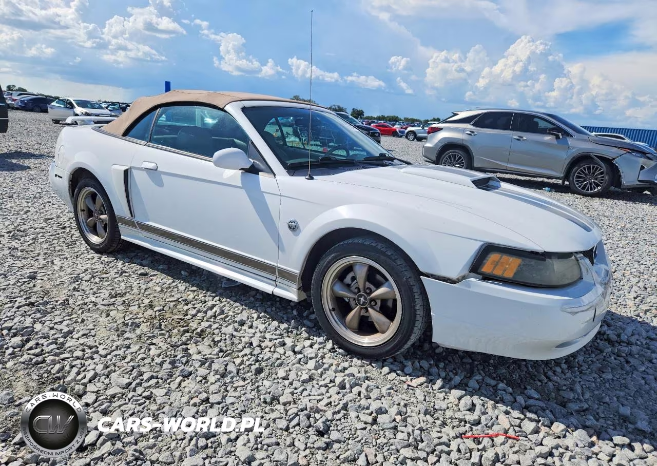 2004 Ford Mustang Gt VIN:1FAFP45X44F119049 - 4