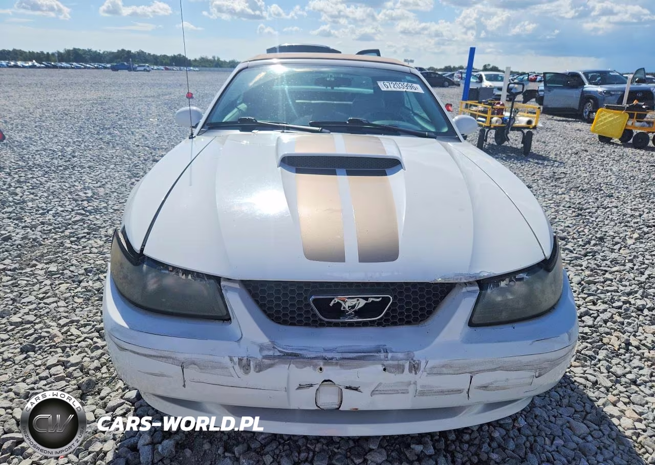 2004 Ford Mustang Gt VIN:1FAFP45X44F119049 - 5