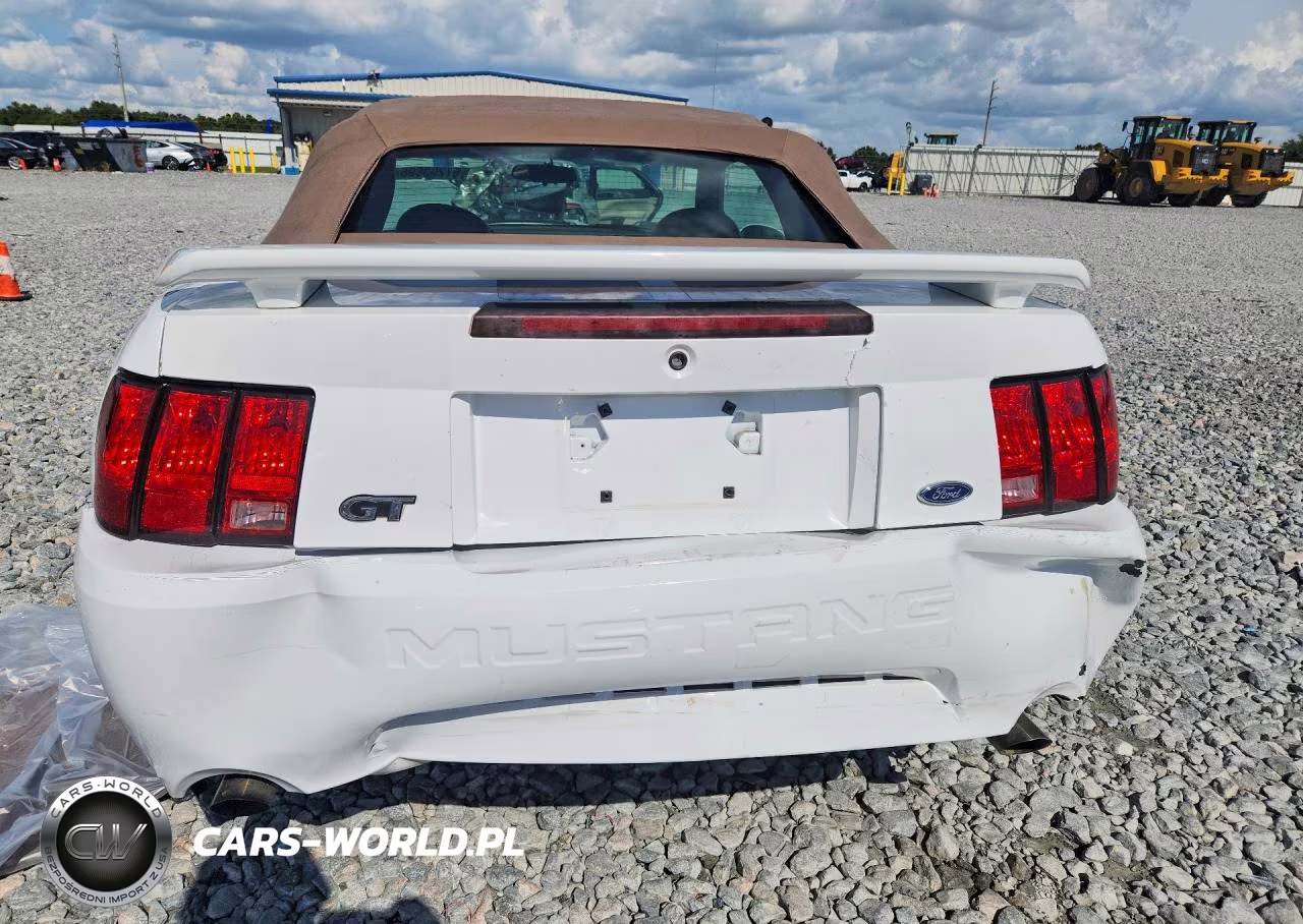2004 Ford Mustang Gt VIN:1FAFP45X44F119049 - 6