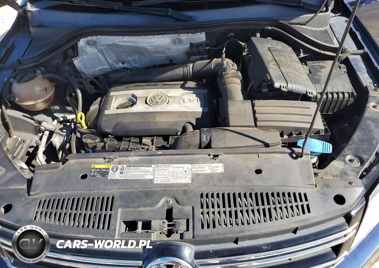 2013 Volkswagen Tiguan S VIN:WVGAV3AX1DW621426 - 12