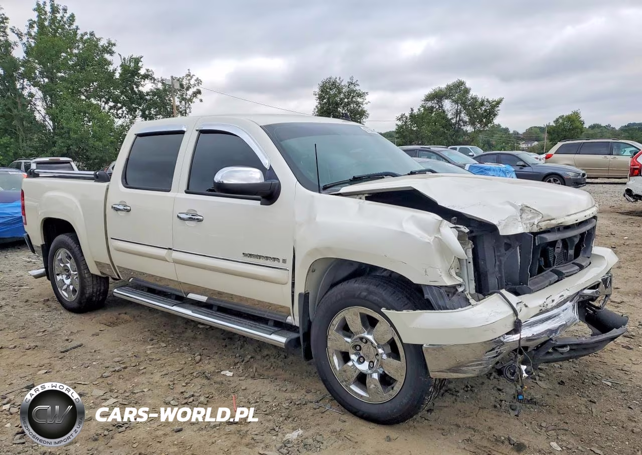 2009 GMC Sierra K1500 VIN:3GTEK13M79G173737 - 4