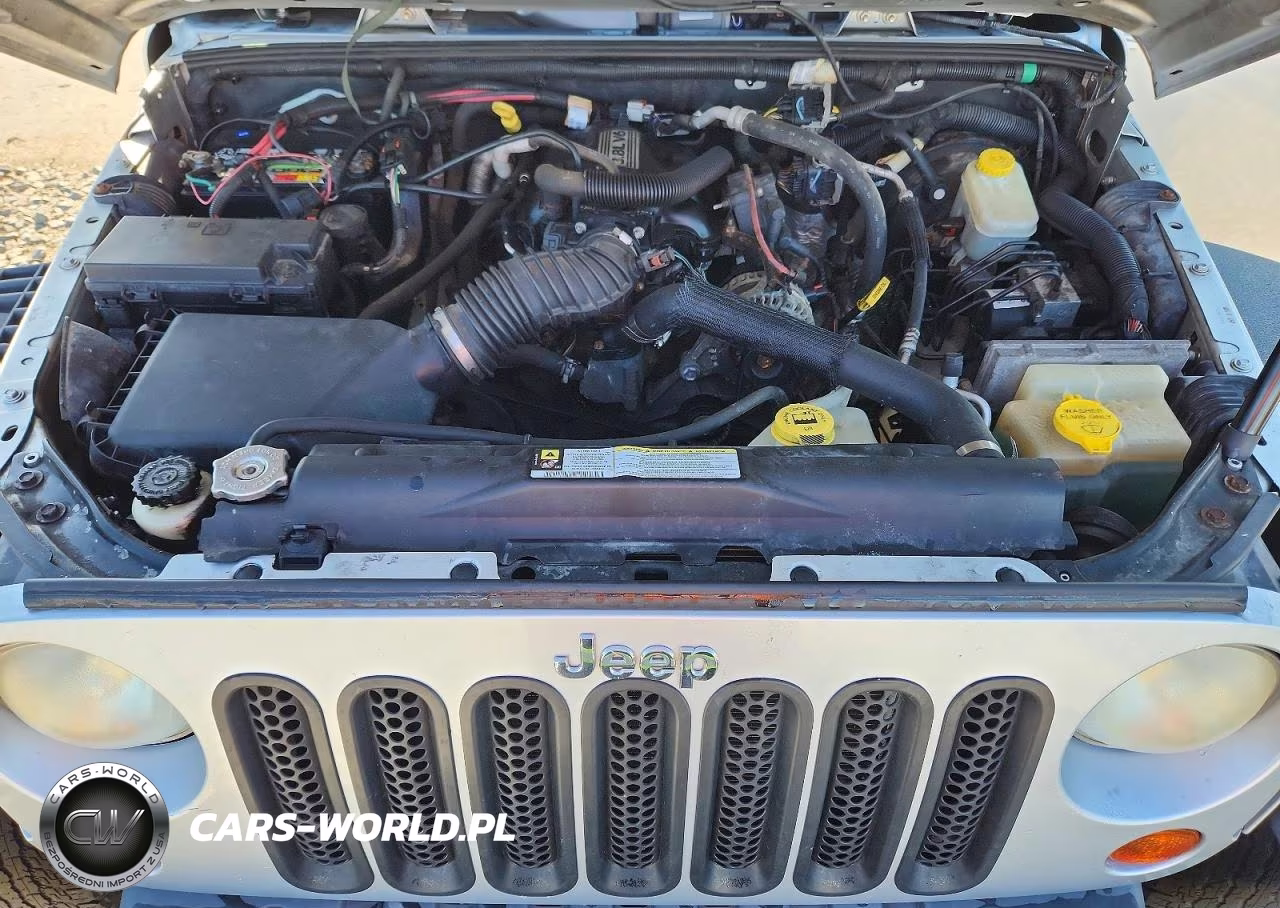 2009 Jeep Wrangler Unlimited X VIN:1J4GA39119L730420 - 11