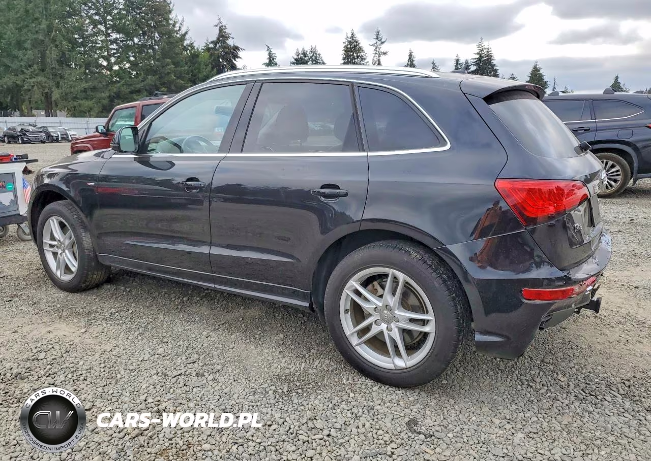 2013 Audi Q5 Premium Plus VIN:WA1DGAFP4DA033262 - 2