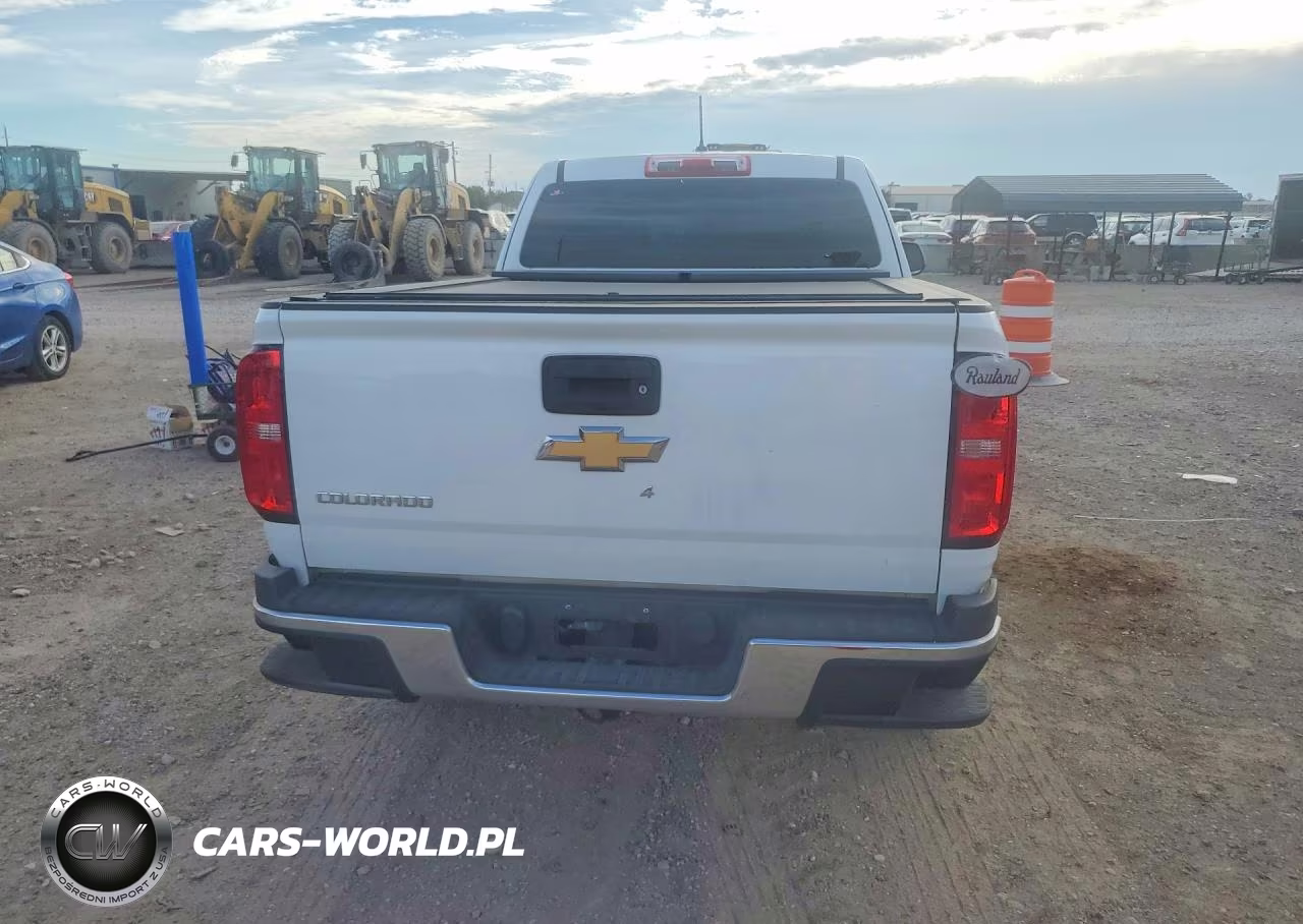 2019 Chevrolet Colorado VIN:1GCHSBEA0K1146731 - 6