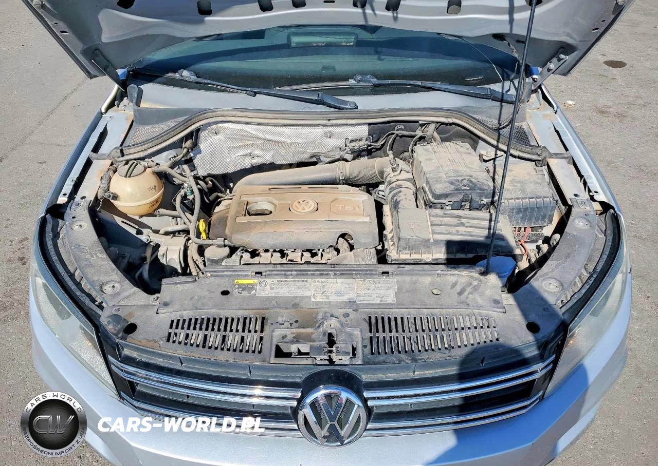 2014 Volkswagen Tiguan S VIN:WVGBV3AX2EW541820 - 12