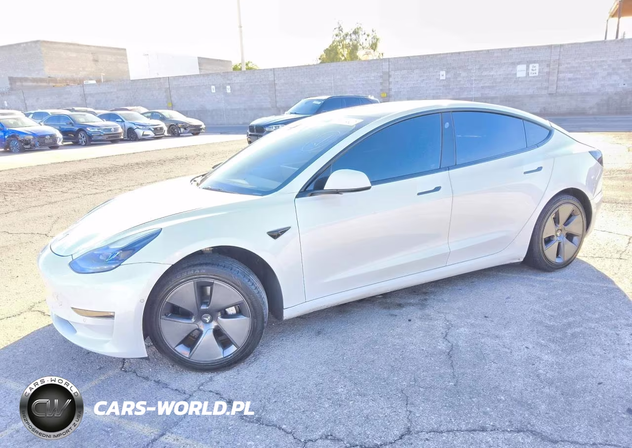 2021 Tesla Model 3 VIN:5YJ3E1EA1MF092300 - 1