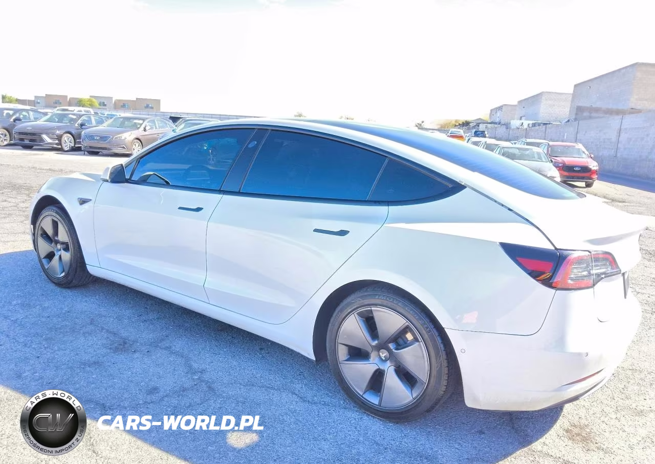2021 Tesla Model 3 VIN:5YJ3E1EA1MF092300 - 2