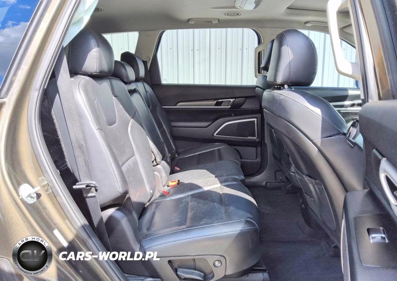 2020 Kia Telluride S VIN:5XYP64HCXLG012383 - 11