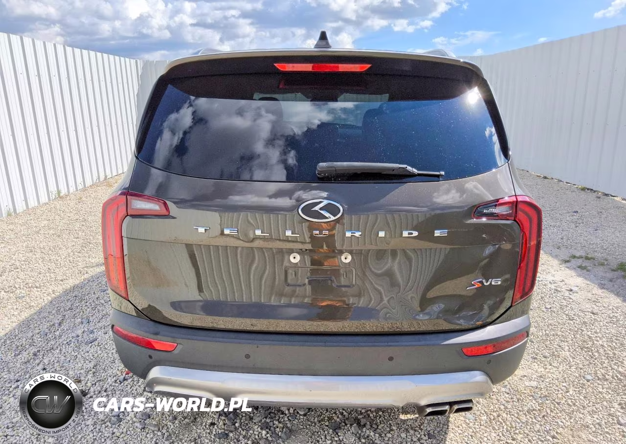 2020 Kia Telluride S VIN:5XYP64HCXLG012383 - 6
