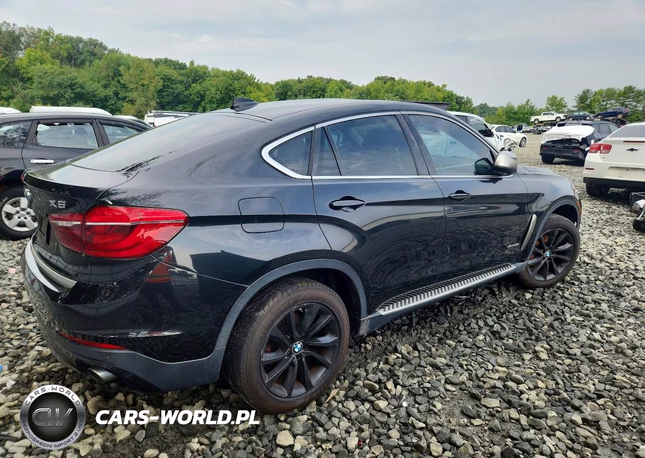 2015 BMW X6 xDrive35I VIN:5UXKU2C50F0F94700 - 3