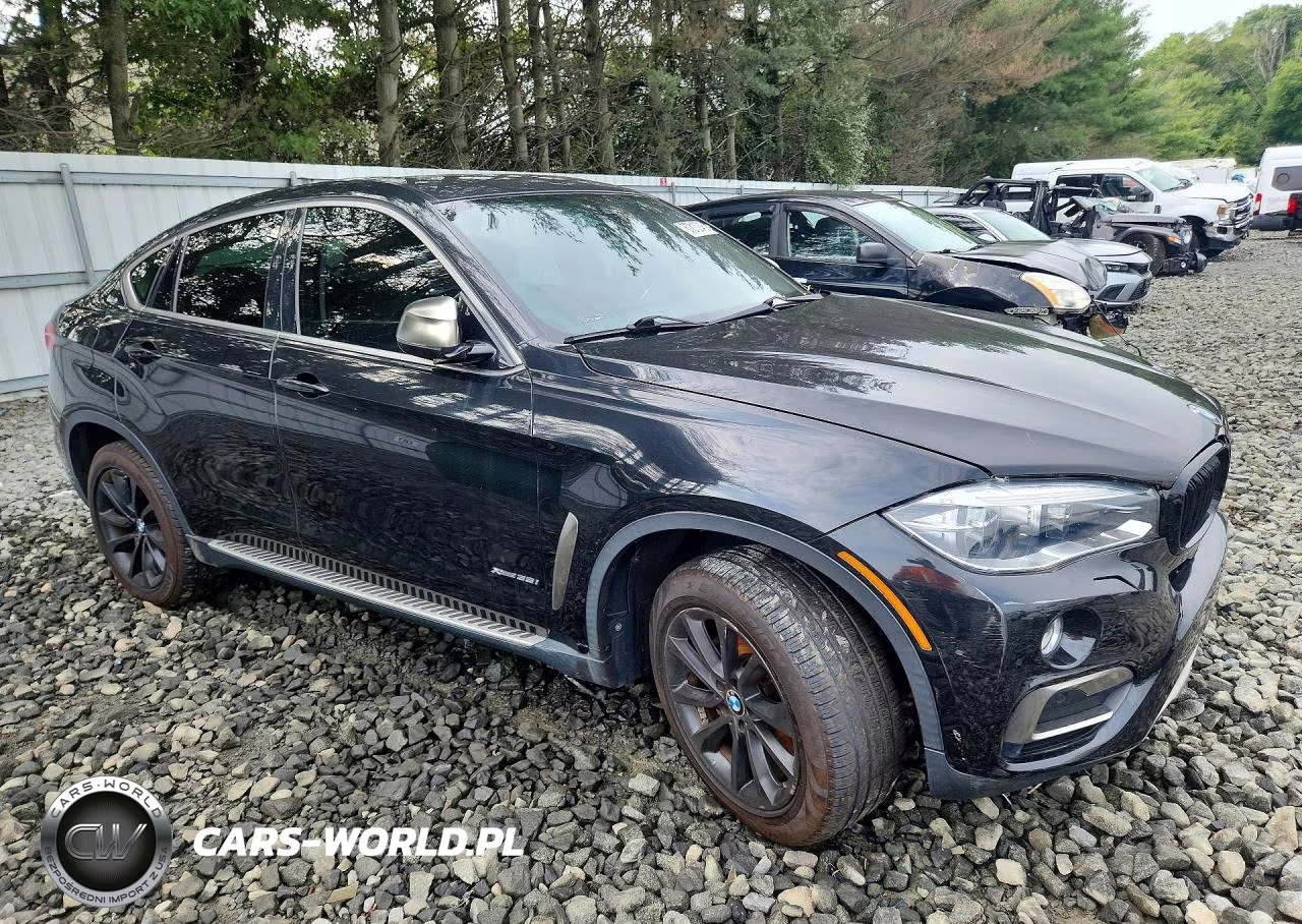 2015 BMW X6 xDrive35I VIN:5UXKU2C50F0F94700 - 4