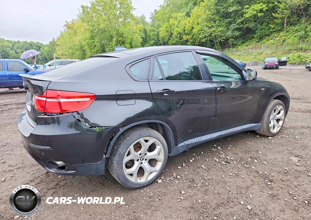 2012 BMW X6 xDrive35I VIN:5UXFG2C51CL781315 - 3