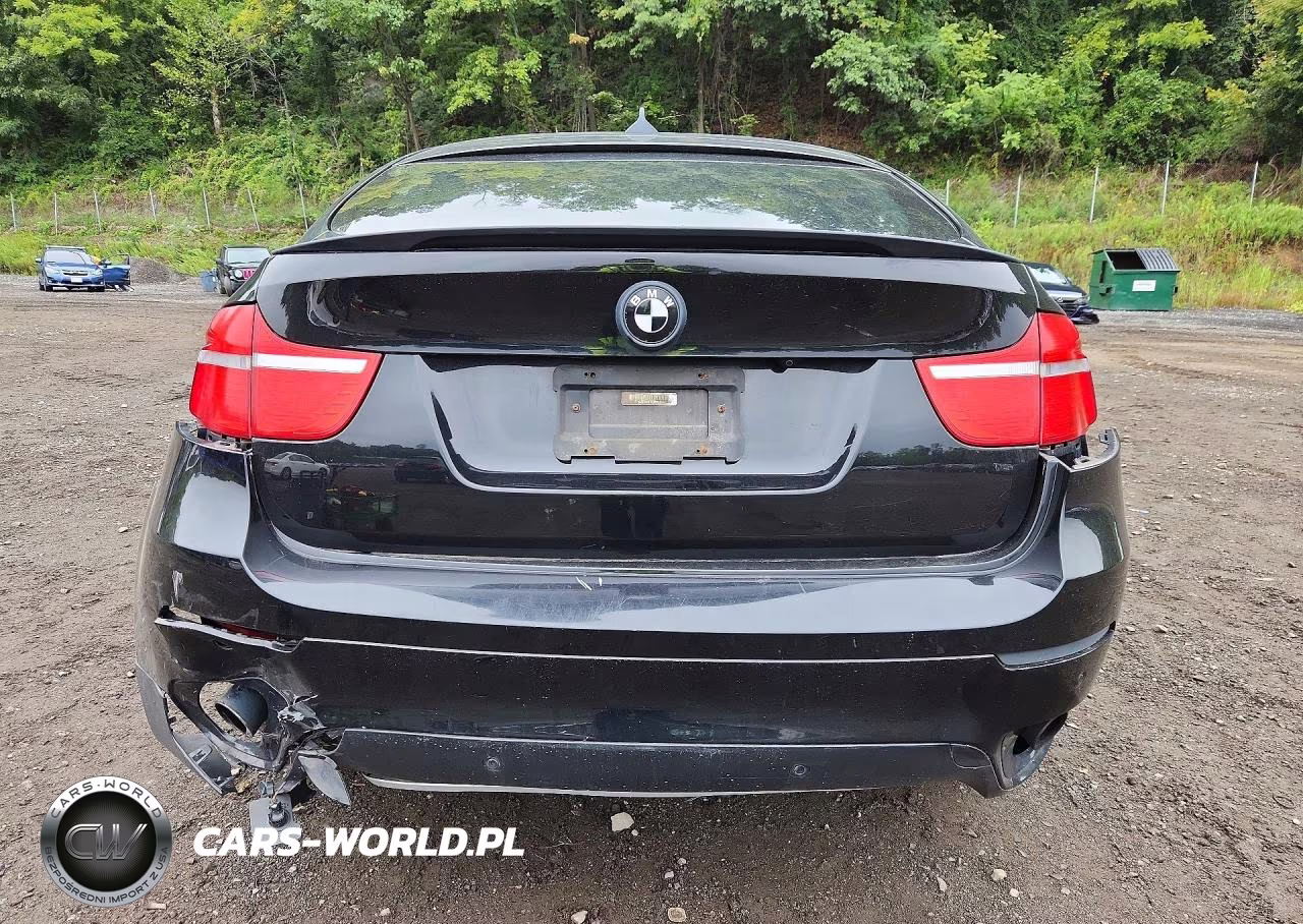2012 BMW X6 xDrive35I VIN:5UXFG2C51CL781315 - 6